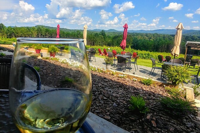 Half-Day Wine Tastings in the North Georgia Mountains - Shuttle Features