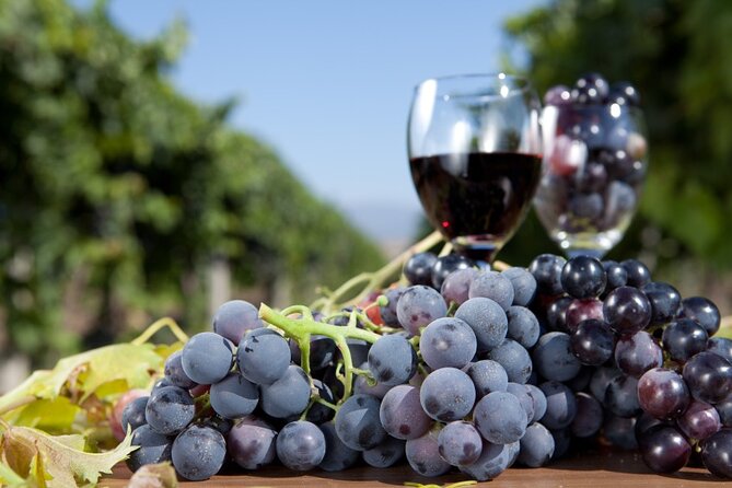 Half-Day Wine Tastings in the North Georgia Mountains - Group Size