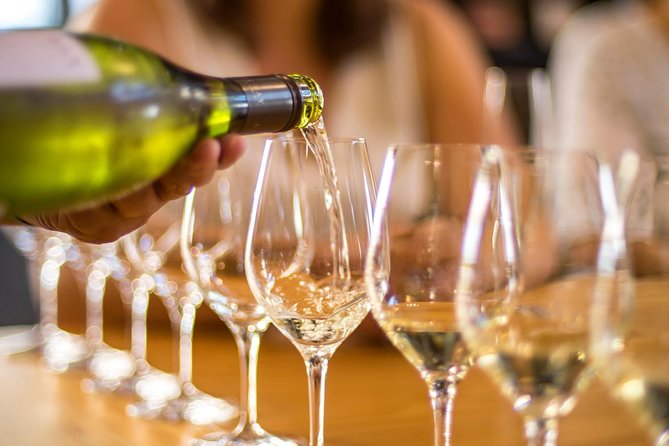 Half-Day Wine Tour From Picton - Accessibility and Accommodations
