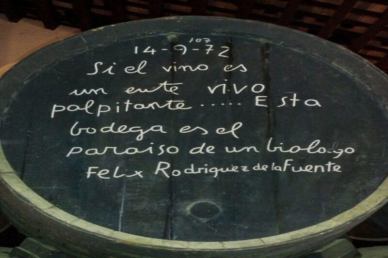 Half-Day Wine Tour in Andalusia in Small Group - Itinerary Details