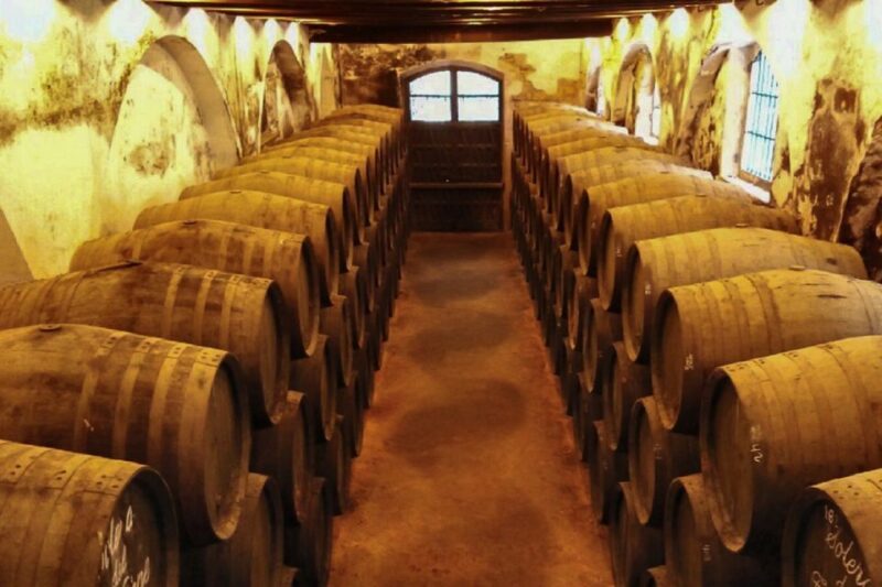 Half-Day Wine Tour in Andalusia in Small Group - Wine Tasting Experience
