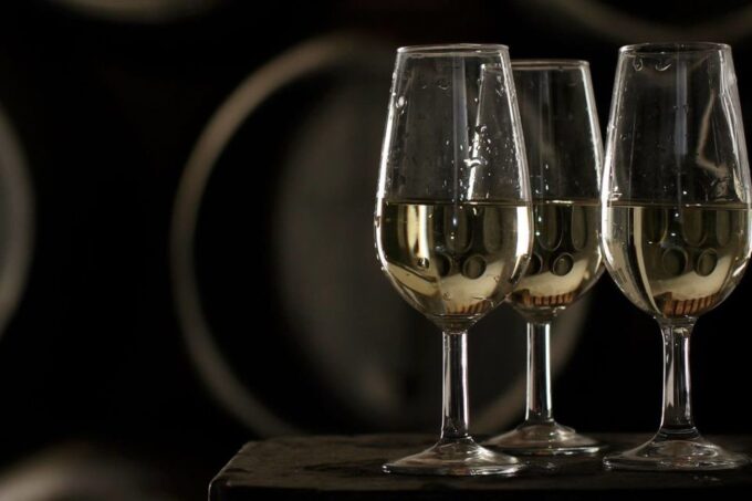 Half-Day Wine Tour in Andalusia in Small Group - Transportation and Guide