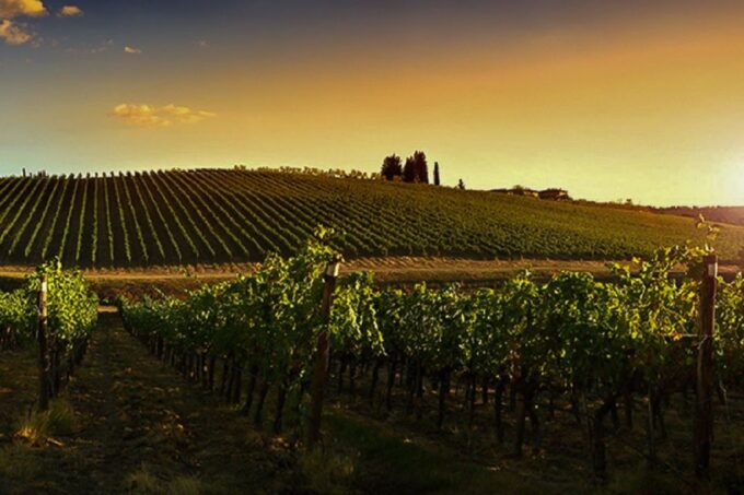 Half-Day Wine Tour in Andalusia in Small Group - Important Reminders