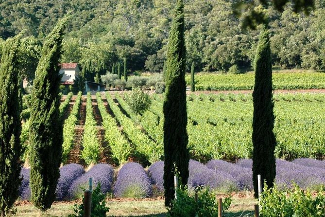 Half Day Wine Tour in Coteaux Aix From Aix En Provence - Key Points