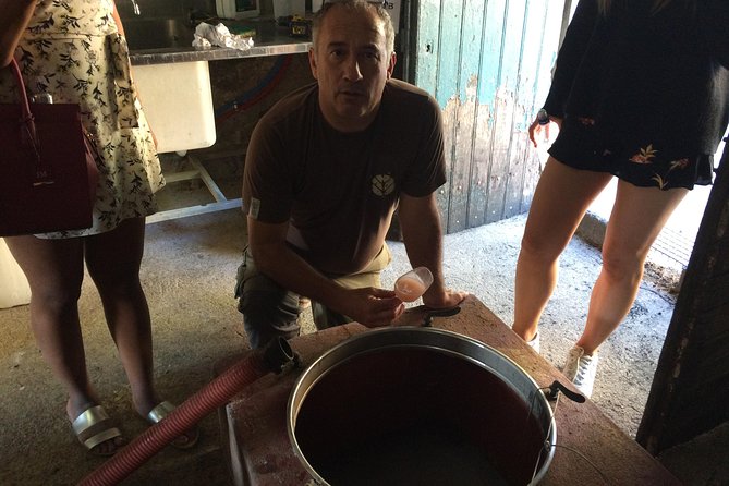 Half Day Wine Tour. Private Tour From Carcassonne and Around. - Customizing Your Wine Adventure