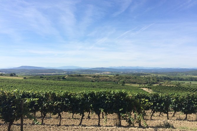 Half Day Wine Tour. Private Tour From Carcassonne and Around. - Recap
