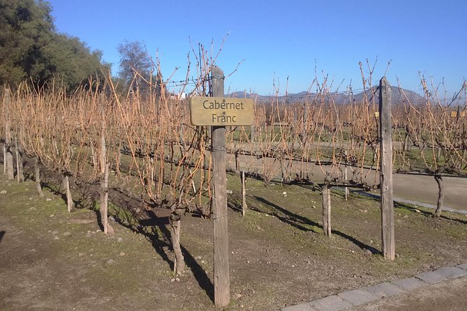 Half Day Wine Tour to Concha Y Toro From Santiago Seasonal Offer - Key Points