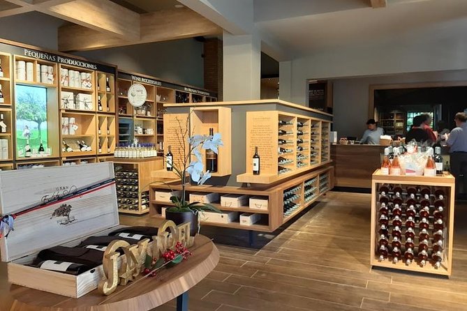 Half Day Wine Tour to Concha Y Toro From Santiago Seasonal Offer - Explore Concha Y Toro