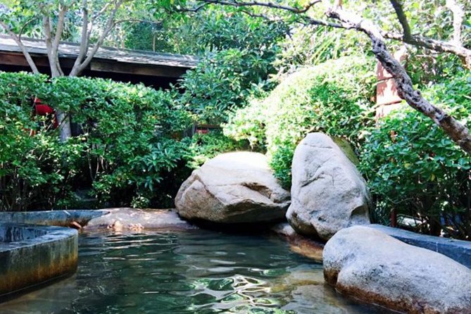 Half Day Xian Luxury Tour: Hot Spring & Local Banquet Themed With Qin Culture - Accessibility and Participation