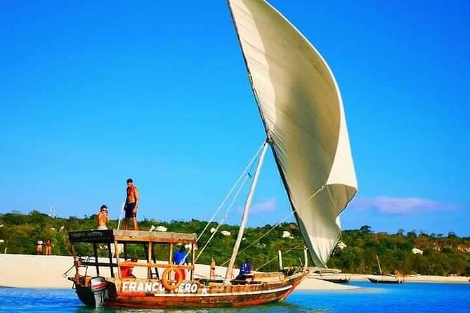 Half Day Zanzibar Mnemba Atoll Marine Reserve Snorkeling Tour - Highlights of the Tour