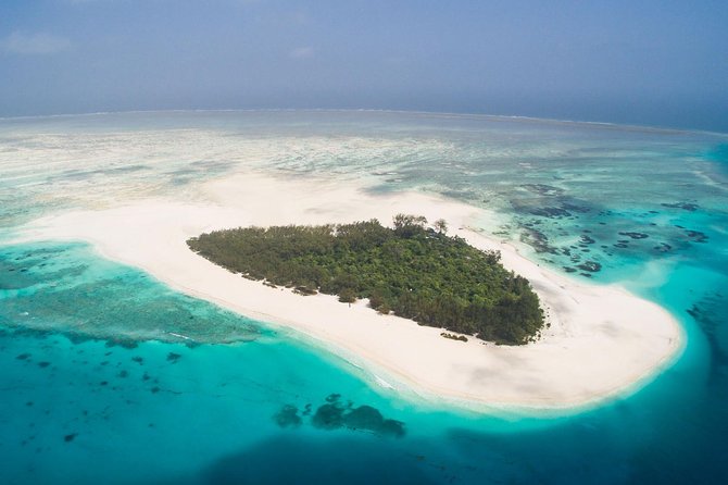 Half Day Zanzibar Mnemba Atoll Marine Reserve Snorkeling Tour - Customer Reviews