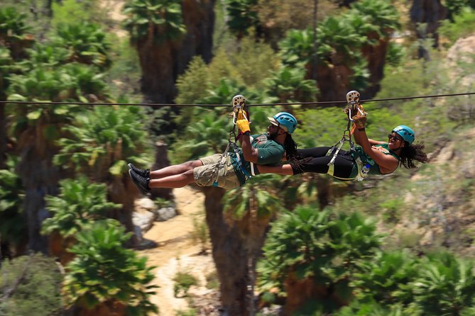 Half-Day Zip Line Adventure in Los Cabos - Zipline Specifications