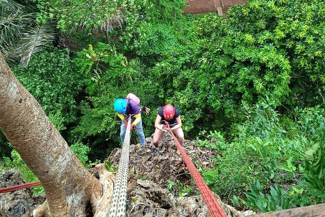Half Day Zipline and Rainforest Exploration in Krabi - Pricing and Group Sizes