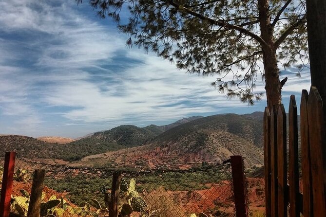 Half-Day Zipline Experience Out of Marrakech City - Highlight of the Day