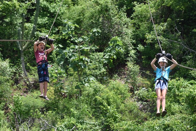 Half-Day Ziplining Experience From Mazatlán - Recommendations for Improvement