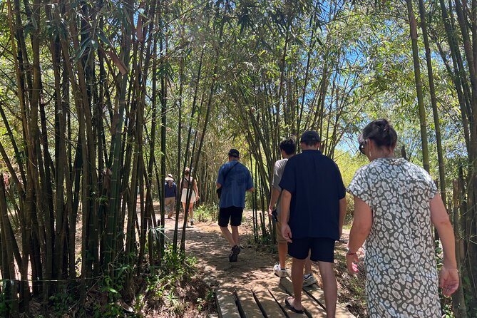 Half- Dmz (demilitarized Zone) Tour From Hue - Inclusions