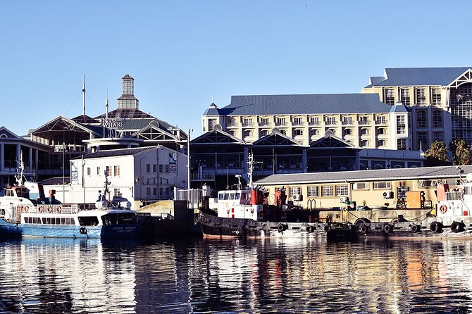 Half Hour Seal and Harbour Cruise From Cape Town - Traveler Feedback