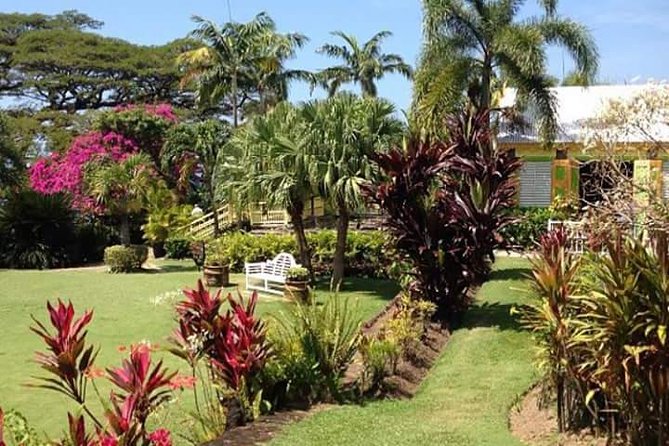 Half-Island Tour of St Kitts - Tour Overview