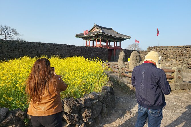 Half or Day Tour for Cruise Customers Arriving at Gangjeong Port - Tour Language and Mobile Tickets