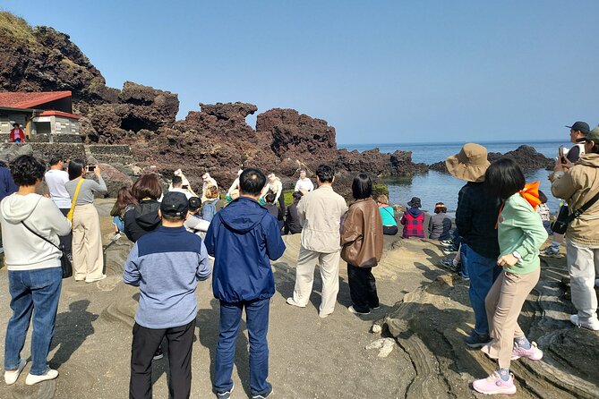 Half or Day Tour for Cruise Customers Arriving at Gangjeong Port - Inclusions and Tour Logistics
