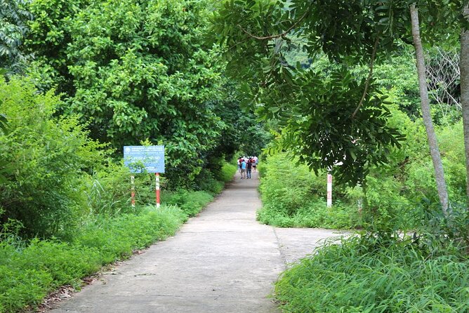 Halfday Trekking Cat Ba Butterfly Valley (More Intense) - Health Considerations