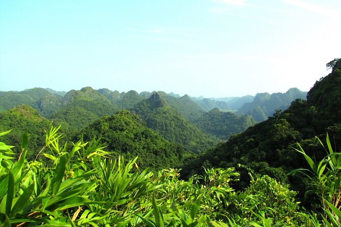 Halfday Trekking Cat Ba Butterfly Valley (More Intense) - Accessibility Information