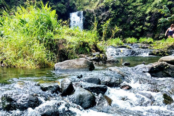 Halfway to Hana Private Tour Maui BlackBeach Waterfalls Turtles - Marvel at the Wailua Overlook
