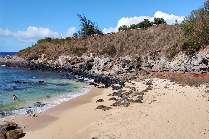 Halfway to Hana Private Tour Maui BlackBeach Waterfalls Turtles - Experience the Beauty of Pua A Kaa Waterfalls