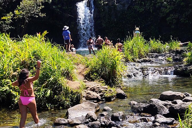 Halfway to Hana Private Tour Maui BlackBeach Waterfalls Turtles - Visit the Arboretum With Painted Gum Trees