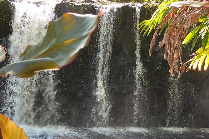 Halfway to Hana Sightseeing Adventure - Exploring the Itinerary in Detail