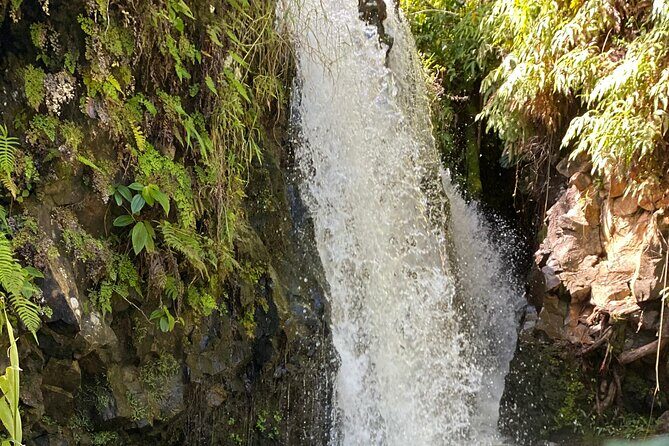 Halfway to Hana Sightseeing Adventure - From Reviews: Authentic Perspectives