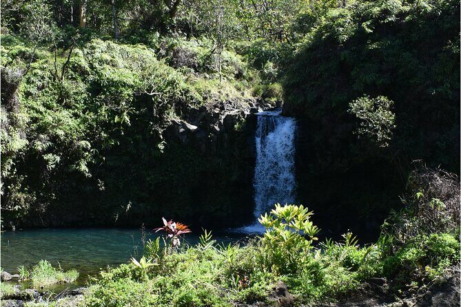 Halfway to Hana Sightseeing Adventure - Practical Tips for Travelers