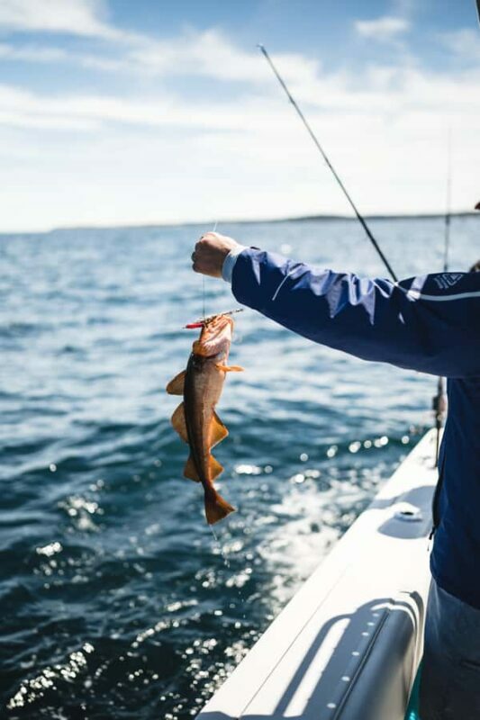 Halifax: 2-Hour Deep Sea Fishing Tour - What to Expect and What to Bring