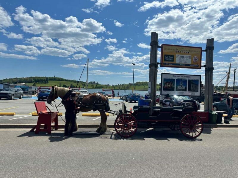 Halifax: Lunenburg and Mahone Bay Private Tour - FAQ