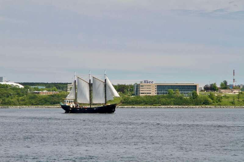 Halifax: Tall Ship Harbor Sailing Cruise with Live Music - Final Thoughts