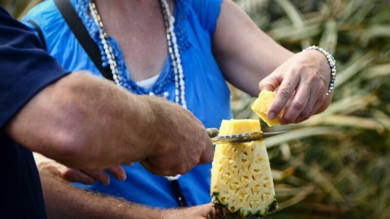 Hali'imaile: Pineapple Farm Tour - Key Points: