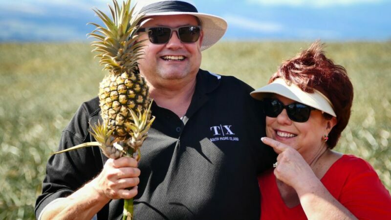 Hali'imaile: Pineapple Farm Tour - A Close Look at the Maui Pineapple Tour