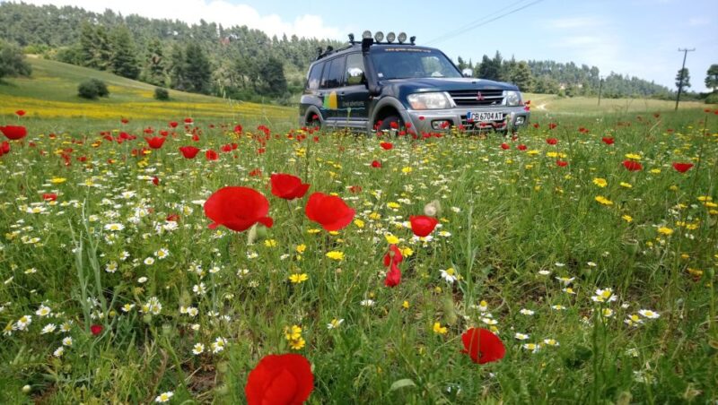 Halkidiki: Kassandra 4x4 Jeep Safari Off-Road Experience - Highlights of the Journey