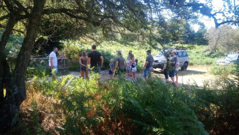 Halkidiki: Kassandra 4x4 Jeep Safari Off-Road Experience - Panoramic Views From Kassandra