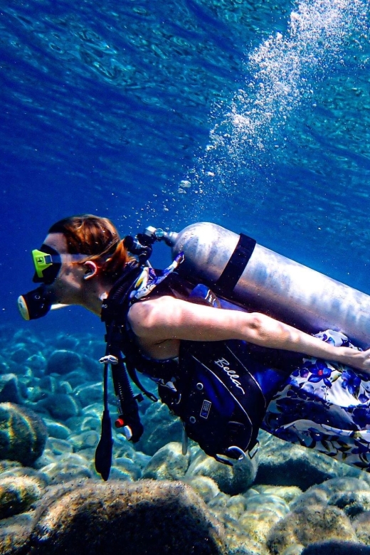 Halkidiki: Kassandra Scuba Beginner Diving Class - Key Points
