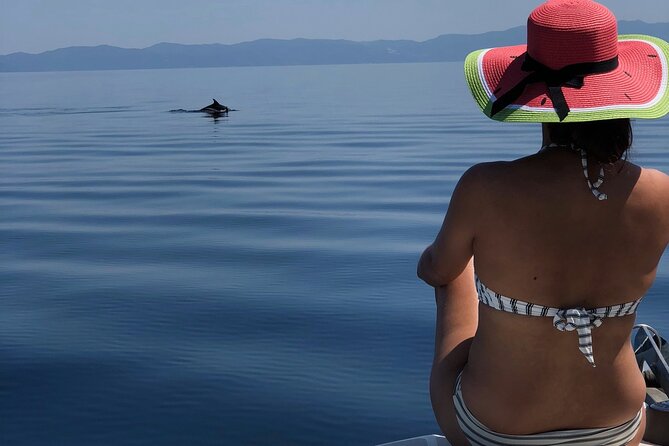 Halkidiki: Sithonia Private Full Day Cruise - Itinerary and Highlights