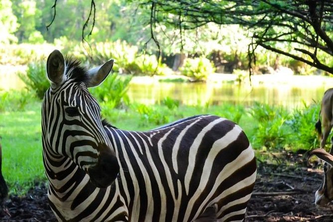 Haller Park Half-Day Tour From Mombasa - Inclusions and Exclusions