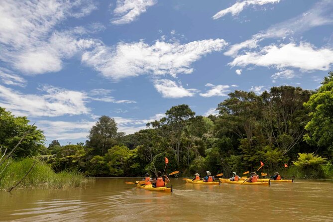 Hallertau Clevedon Kayak Tour - Additional Information