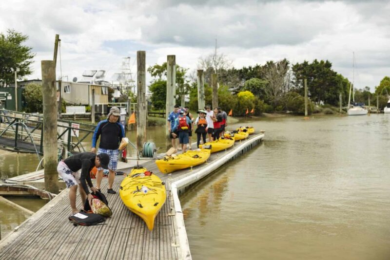 Hallertau Clevedon Kayak Tour - Experience Highlights
