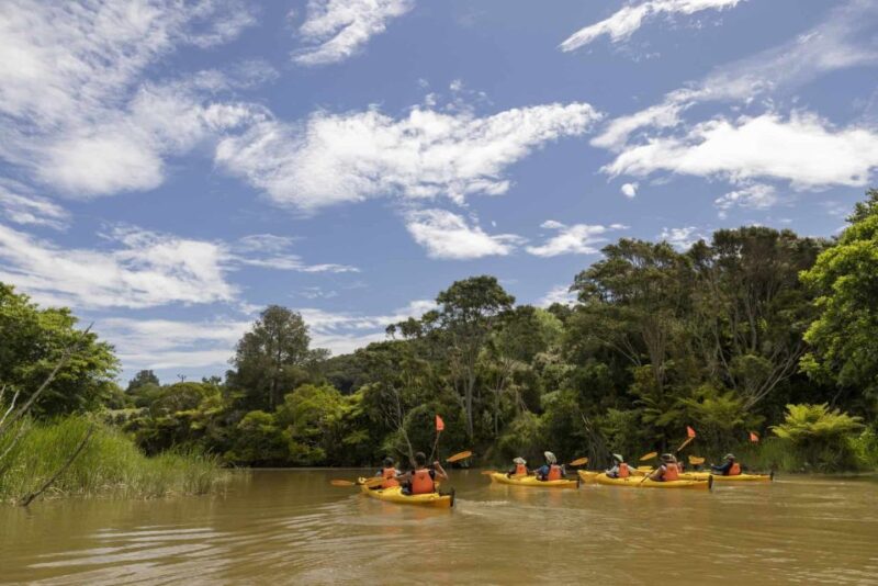 Hallertau Clevedon Kayak Tour - Inclusions