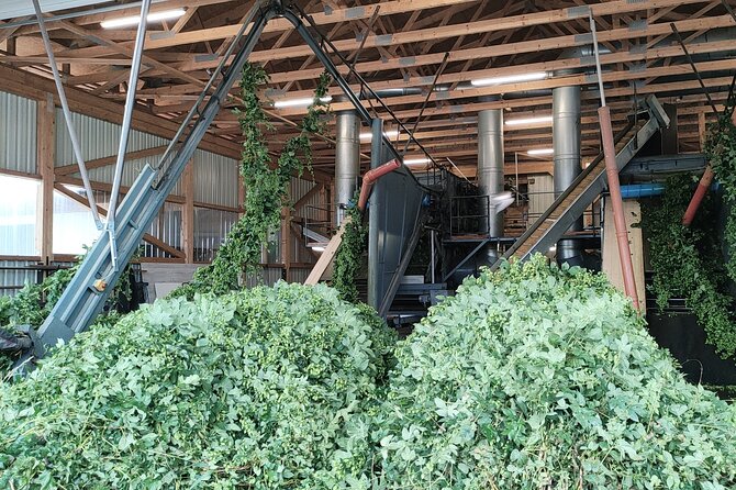 Hallertau Experience With Hop Harvest, Lunch and Hop Museum - Hop Harvest Tour and Activities