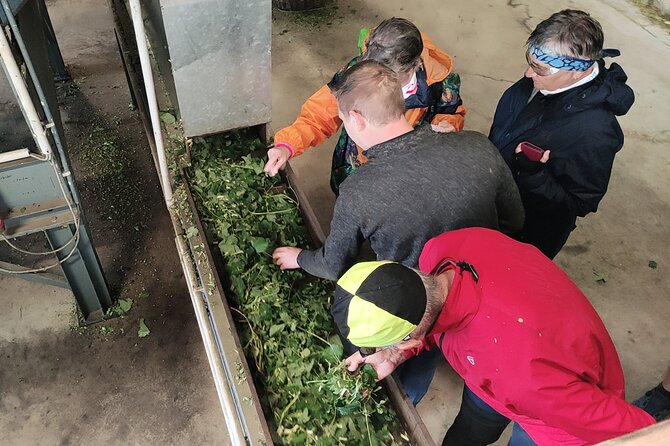 Hallertau Experience With Hop Harvest, Lunch and Hop Museum - German Hop Museum Exploration