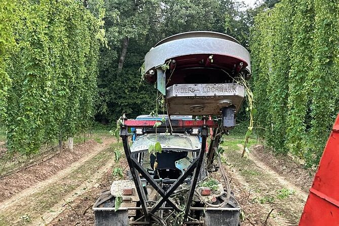 Hallertau Experience With Hop Harvest, Lunch and Hop Museum - Tour Schedule and Availability