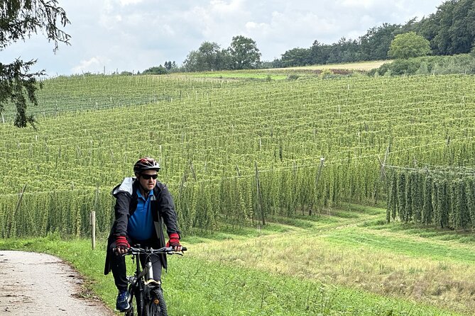 Hallertau Experience With Hop Harvest, Lunch and Hop Museum - Accessibility and Fitness Requirements