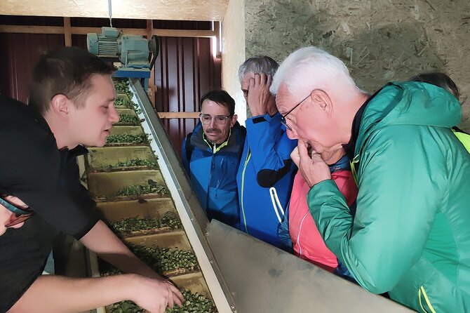 Hallertau Experience With Hop Harvest, Lunch and Hop Museum - Reservation and Booking Process